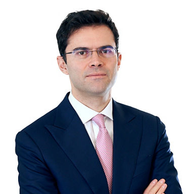 Headshot of Federico  Domenichini