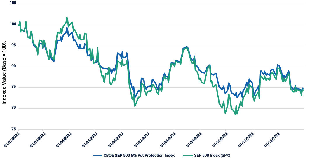 Performance Comparison of a Hedged Equity Index and the S&P 500 Index During 2022