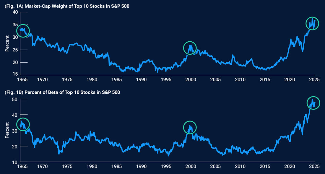 This is a pair of line graphs that show the weight of the top 10 stocks in the S&P 500 Index and their predicted beta concentration.