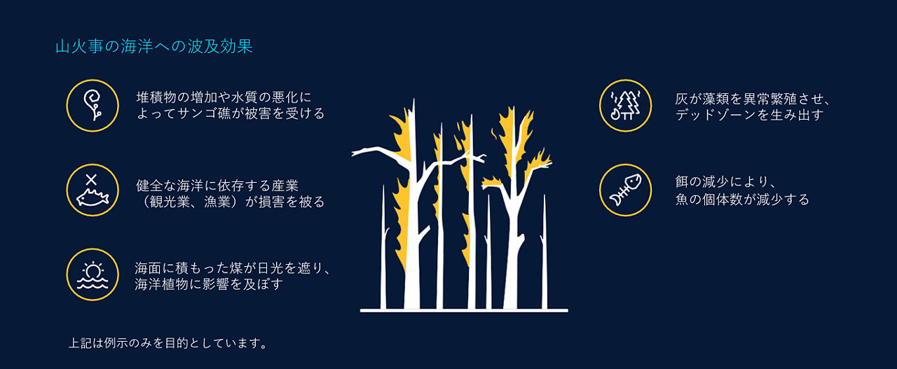 山火事の海洋への波及効果