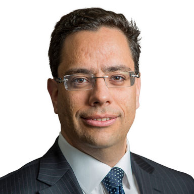 Headshot of Sebastien  Mallet