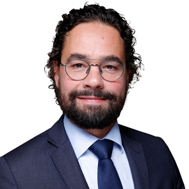 Headshot of Michel  van Mazijk