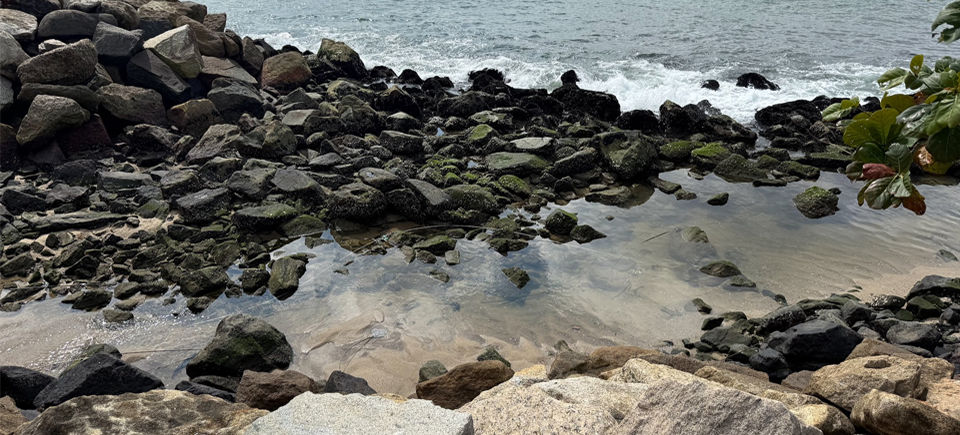 Case study-biodiversity