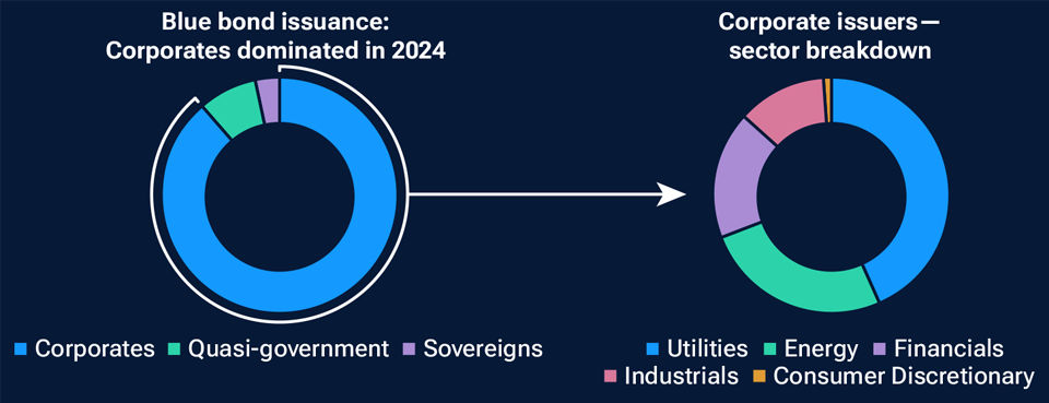 Figure 1: Pie chart showing breakdown of blue bond issuance in 2024, with a connected pie chart showing the sector breakdown within the corporate portion of the main pie chart.