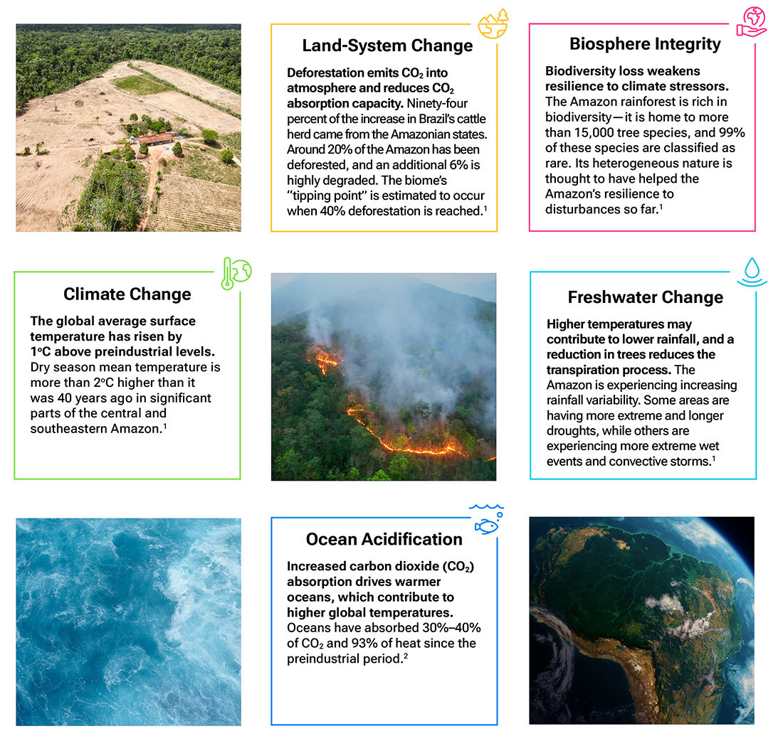 Graphics depicting several of the planetary processes that are linked to the Amazon rainforest, including statistics to convey how these processes are impacted by deforestation.