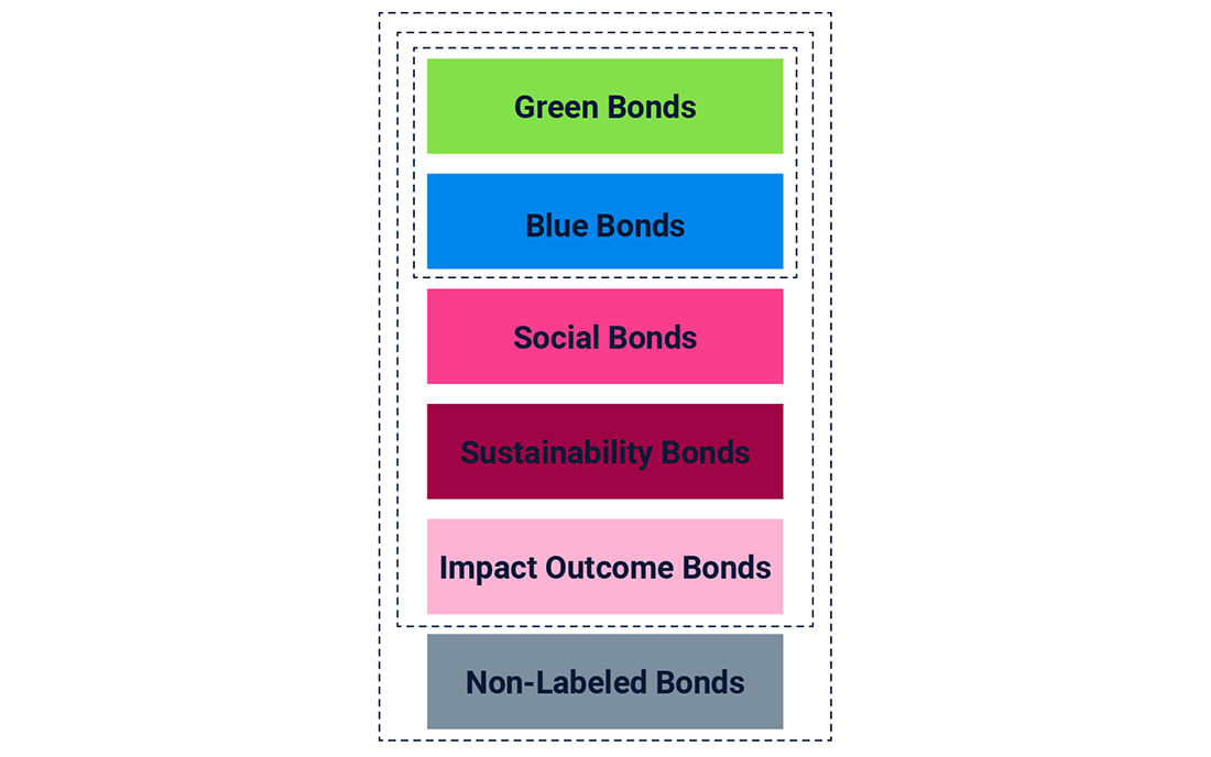 This graphic illustrates the different types of impact credit, using colored text boxes. 