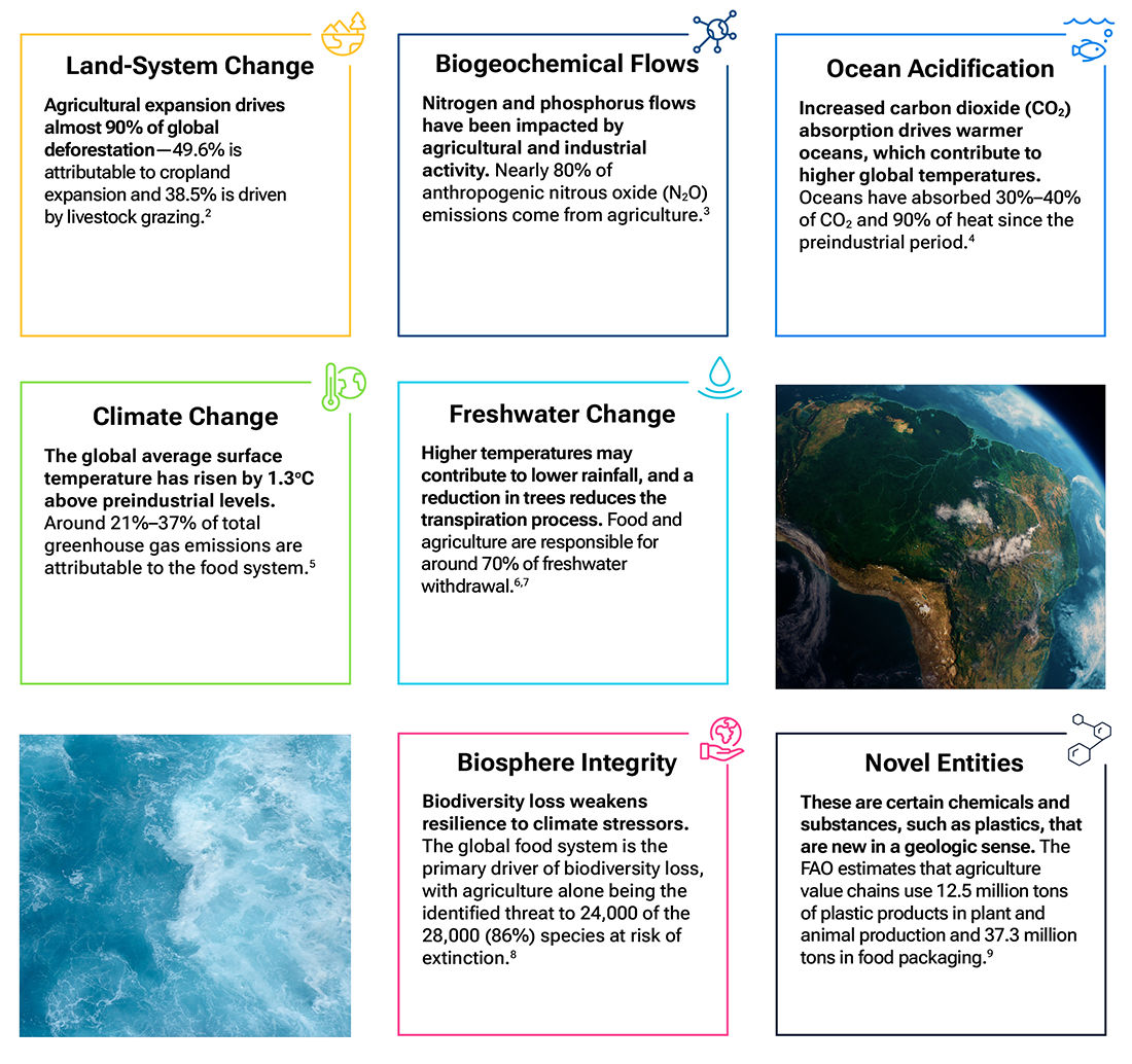 The global food system and the interaction of planetary boundaries