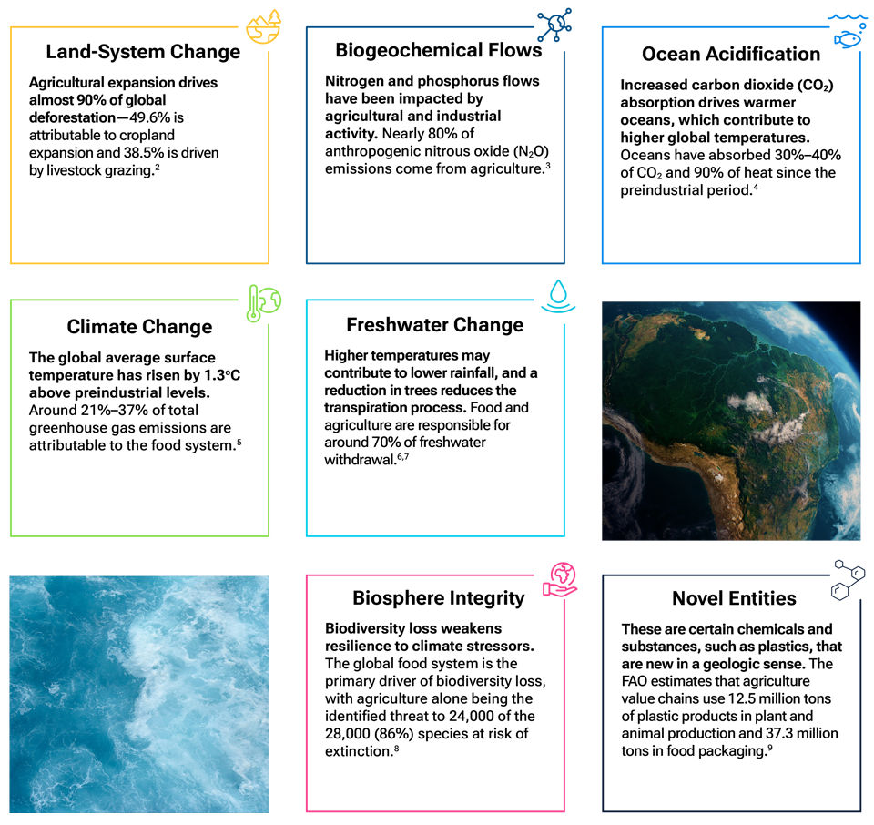 An infographic with different text boxes explaining how the global food system is linked to several of the planetary processes within the planetary boundaries framework. 