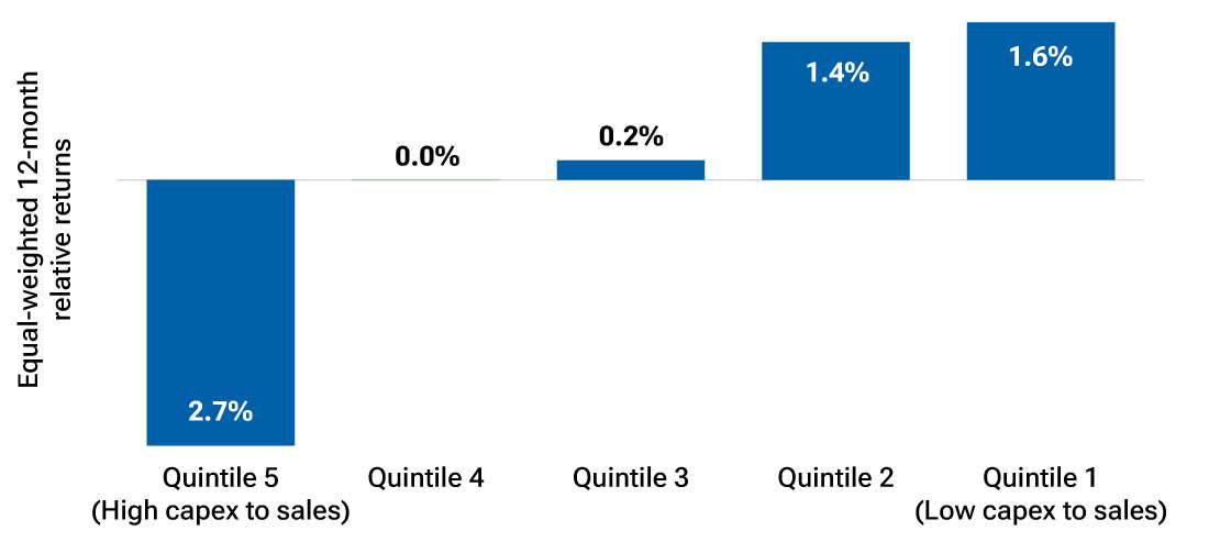 Firms with the highest capex to sales have tended to underperform
