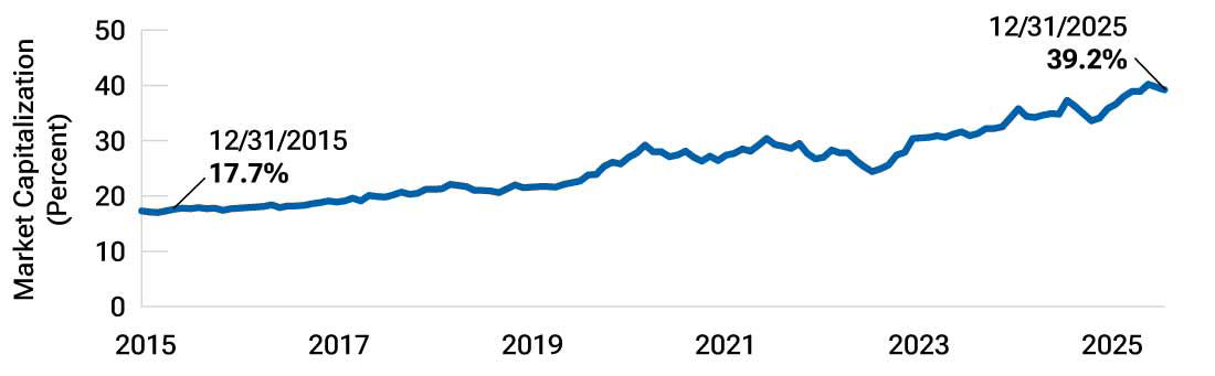 The U.S. large-cap market has become increasingly concentrated