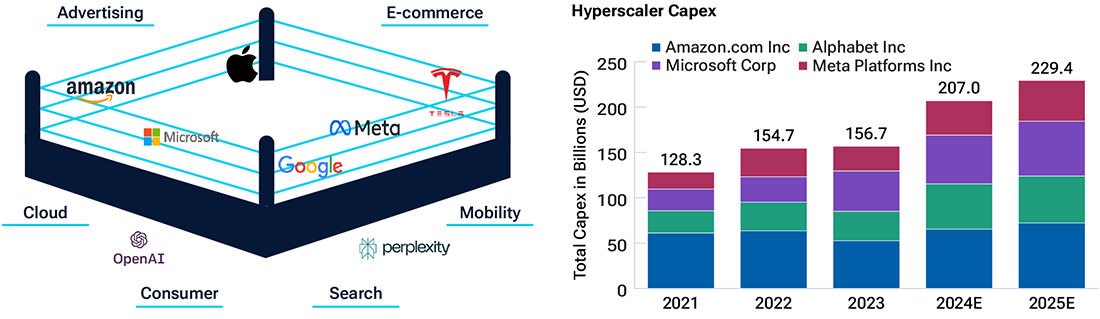 A boxing ring image suggests large-cap IT stocks must strive to remain leaders. AI capex by the top four platform companies has soared since 2019 (right side chart).