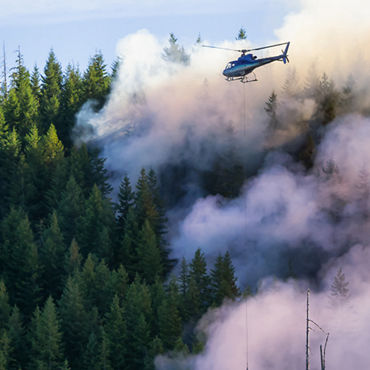 How wildfires highlight the links between marine and terrestrial ecosystems